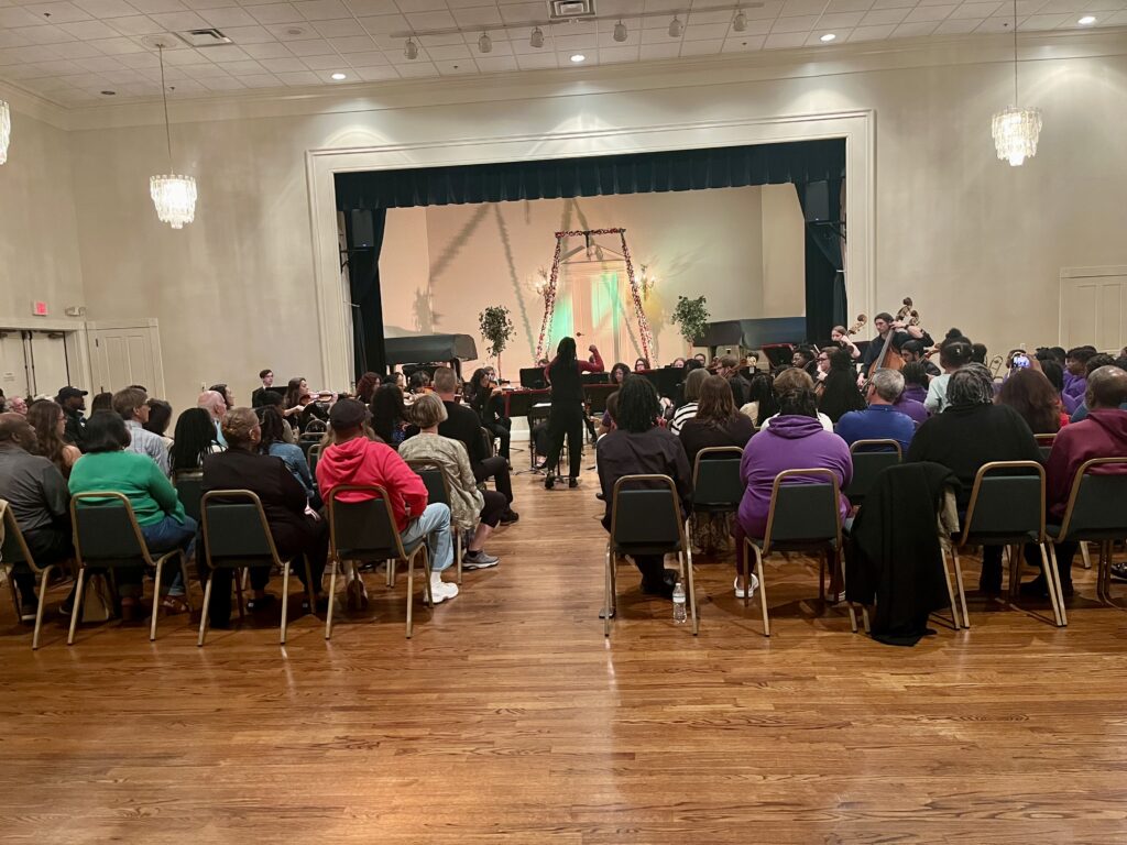 audience watching orchestra 2